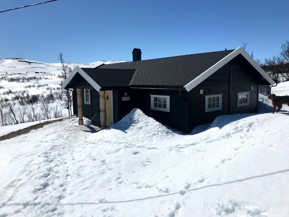 Berntebu Villa Uvdal Bagian luar foto