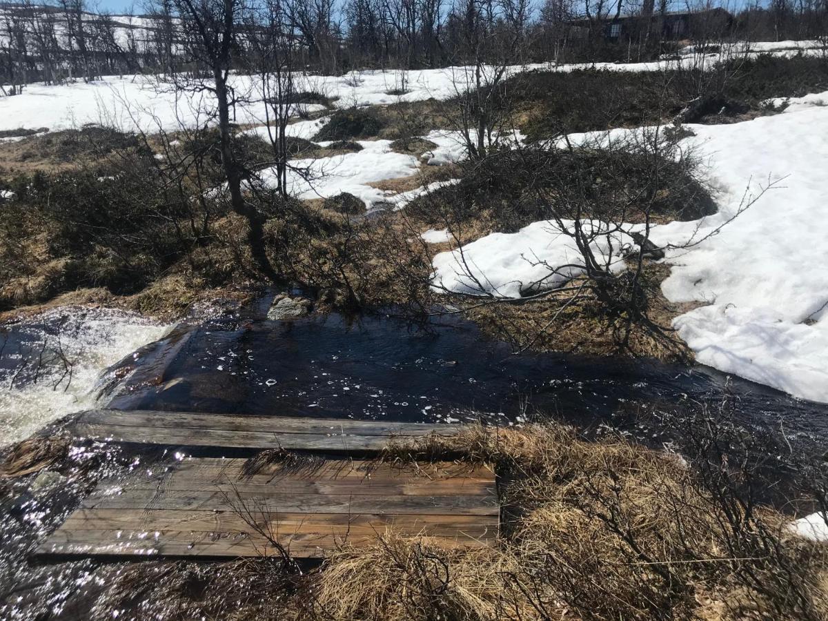 Berntebu Villa Uvdal Bagian luar foto